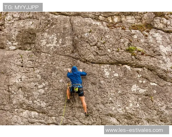 攀岩纪实:记录上海攀岩队的成长故事_1